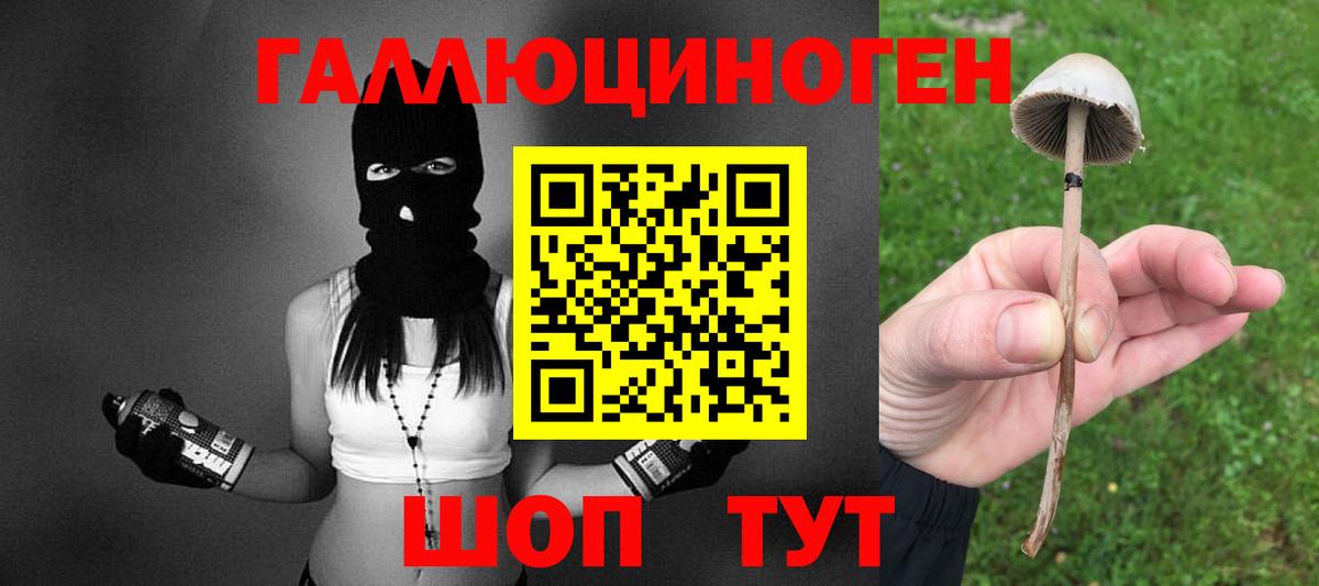 Псилоцибиновые грибы Psilocybe Муравленко